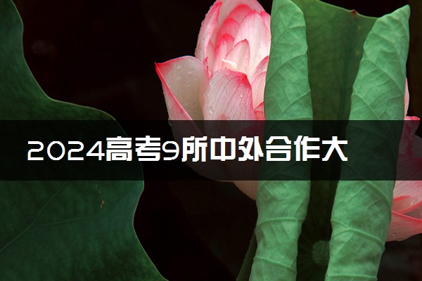 2024高考9所中外合作大学哪个最好 好就业吗