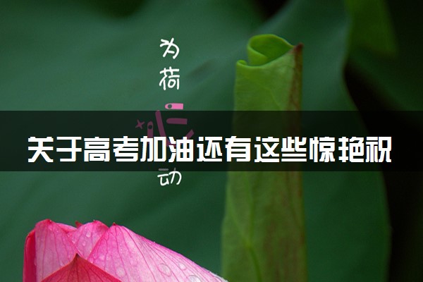 关于高考加油还有这些惊艳祝福 2024激励考生的语句