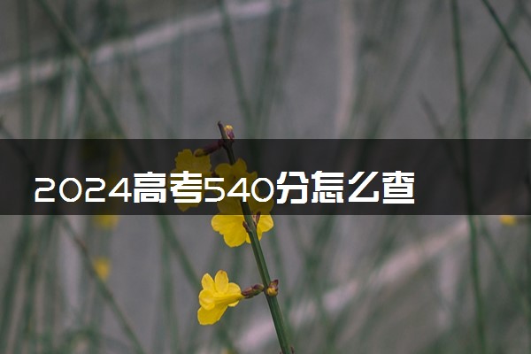 2024高考540分怎么查高校分数线 可以报考的大学有哪些