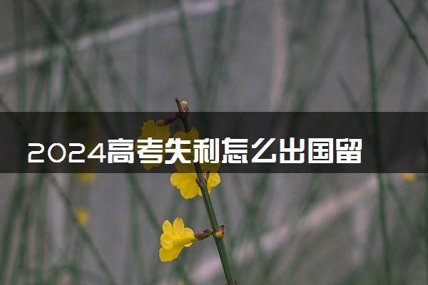 2024高考失利怎么出国留学要准备什么 去哪个国家好