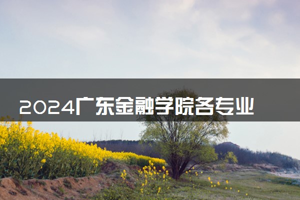 2024广东金融学院各专业录取分数线及位次 各省录取最低分是多少