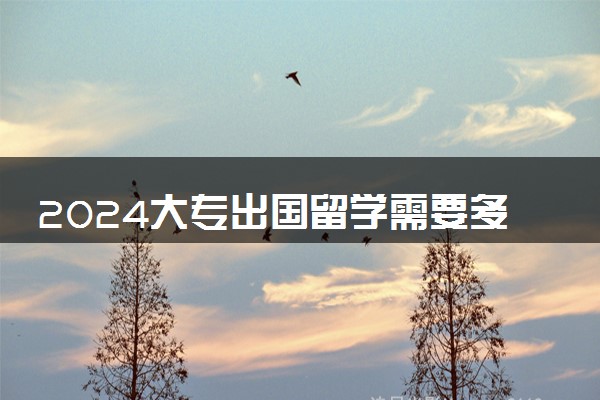 2024大专出国留学需要多少钱 几年毕业