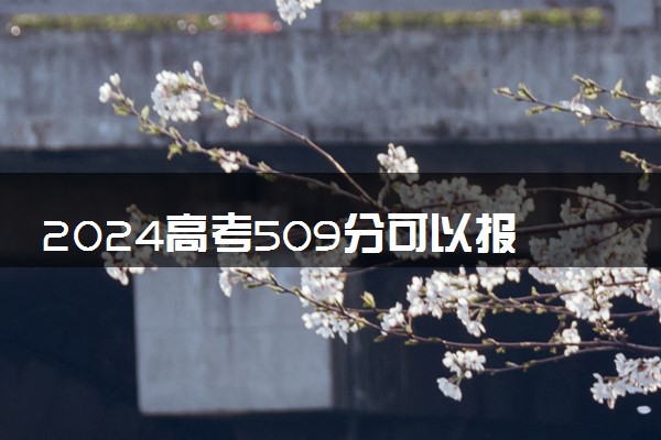 2024高考509分可以报哪些大学 509分左右能上的院校名单