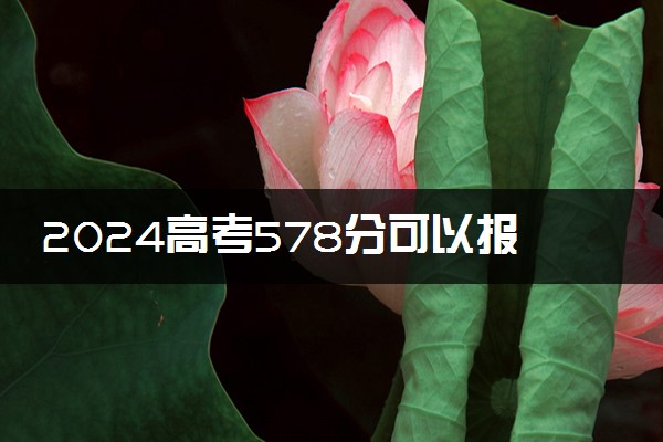 2024高考578分可以报哪些大学 578分左右能上的院校名单