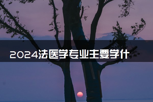 2024法医学专业主要学什么课程 就业前景及方向有哪些