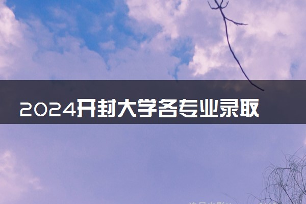 2024开封大学各专业录取分数线及位次 各省录取最低分是多少