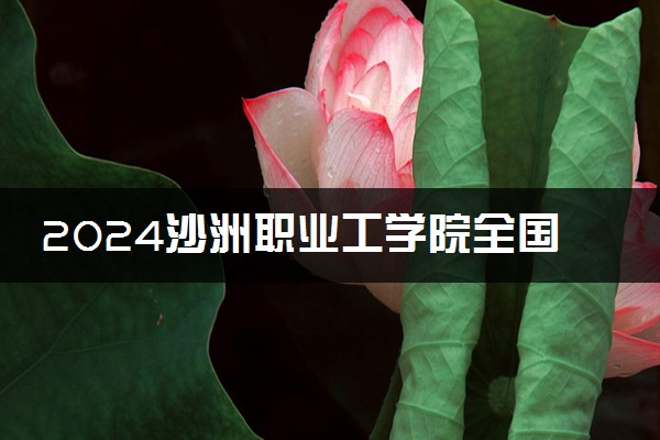 2024沙洲职业工学院全国排名多少位 最新全国排行榜