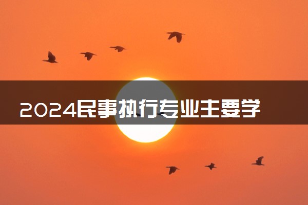 2024民事执行专业主要学什么课程 就业前景及方向有哪些