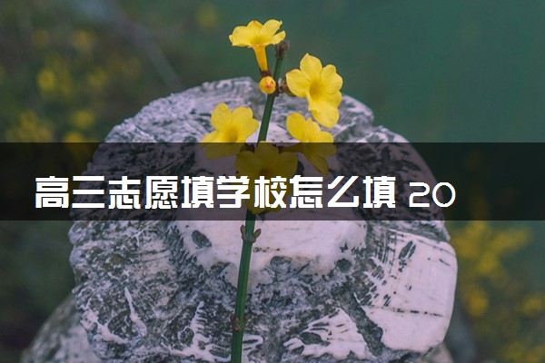 高三志愿填学校怎么填 2024有哪些方法步骤