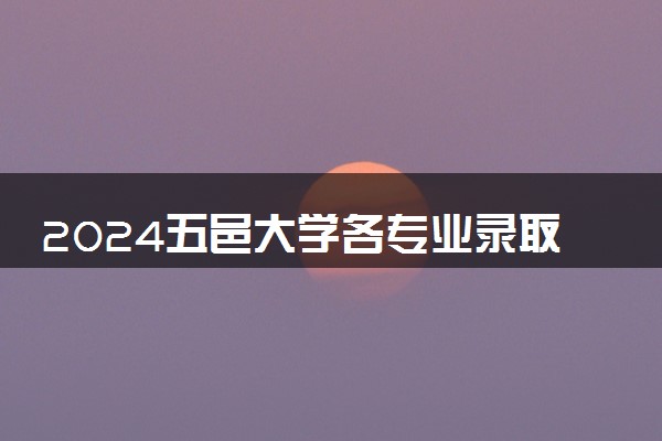 2024五邑大学各专业录取分数线及位次 各省录取最低分是多少