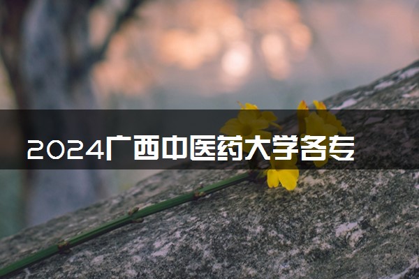 2024广西中医药大学各专业录取分数线及位次 各省录取最低分是多少