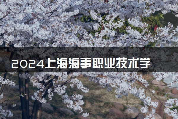 2024上海海事职业技术学院全国排名多少位 最新全国排行榜
