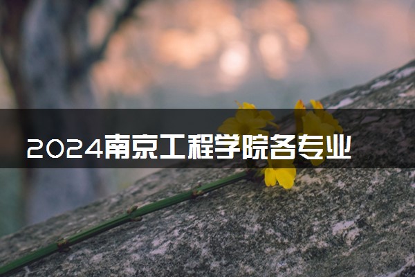 2024南京工程学院各专业录取分数线及位次 各省录取最低分是多少