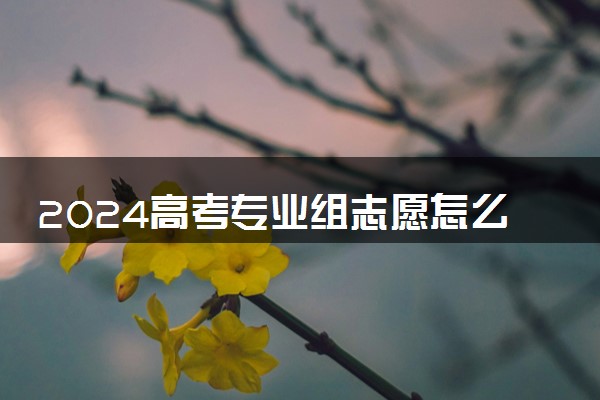2024高考专业组志愿怎么填 应该如何报考