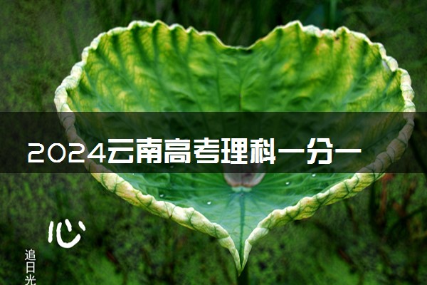 2024云南高考理科一分一段表 位次及排名查询