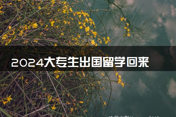 2024大专生出国留学回来是什么学历类型 回国后能干什么