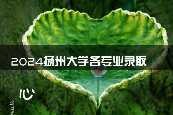 2024扬州大学各专业录取分数线及位次 各省录取最低分是多少