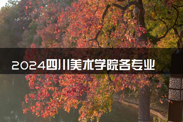 2024四川美术学院各专业录取分数线及位次 各省录取最低分是多少