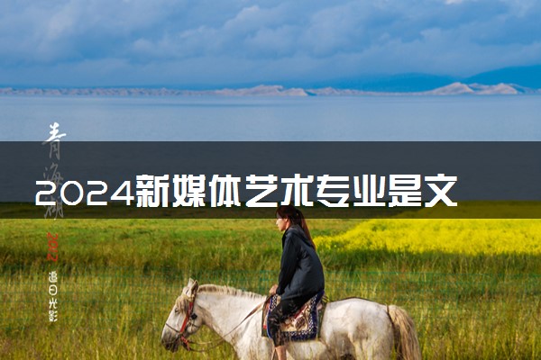 2024新媒体艺术专业是文科还是理科 就业前景及方向