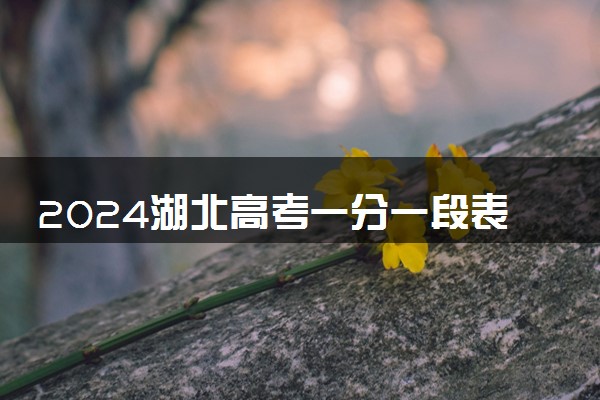 2024湖北高考一分一段表最新 查询位次及排名【完整版】