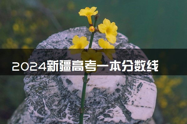 2024新疆高考一本分数线预测 一本线预计是多少分