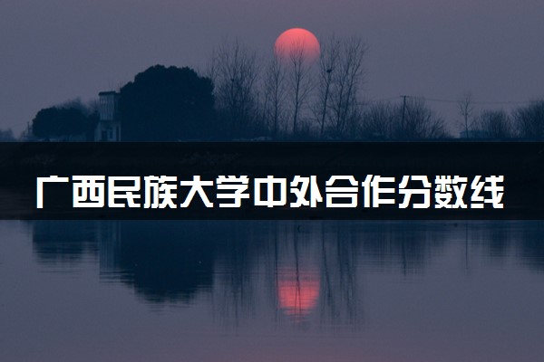广西民族大学中外合作分数线 2024多少分可以录取