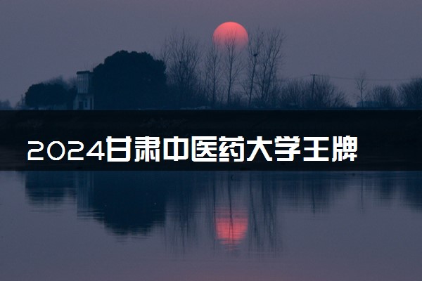 2024甘肃中医药大学王牌专业有哪些 最好的专业是什么