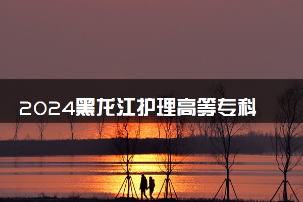 2024黑龙江护理高等专科学校各专业录取分数线及位次 各省录取最低分是多少