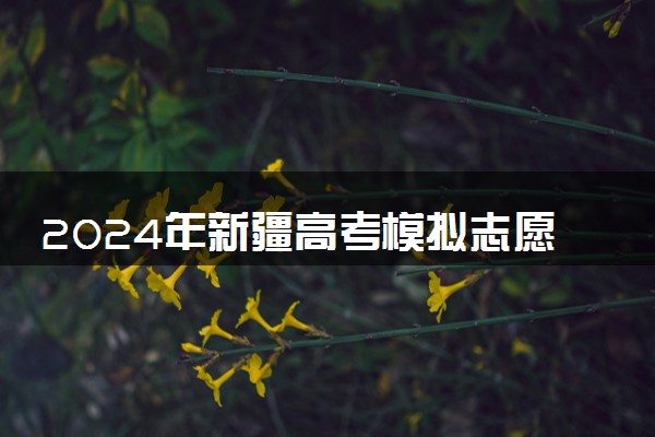 2024年新疆高考模拟志愿填报时间及入口