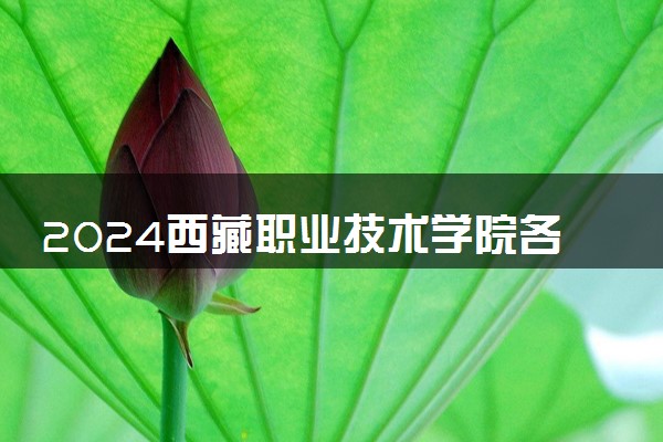 2024西藏职业技术学院各专业录取分数线及位次 各省录取最低分是多少