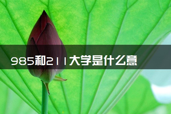 985和211大学是什么意思 二者什么区别