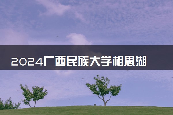 2024广西民族大学相思湖学院各专业录取分数线及位次 各省录取最低分是多少