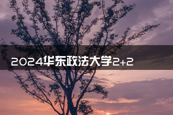 2024华东政法大学2+2中外合作办学有什么专业