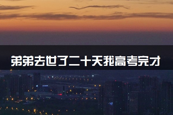 弟弟去世了二十天我高考完才知道 内心悲痛自责
