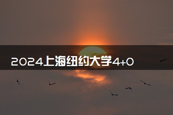 2024上海纽约大学4+0国际本科正规吗 好不好