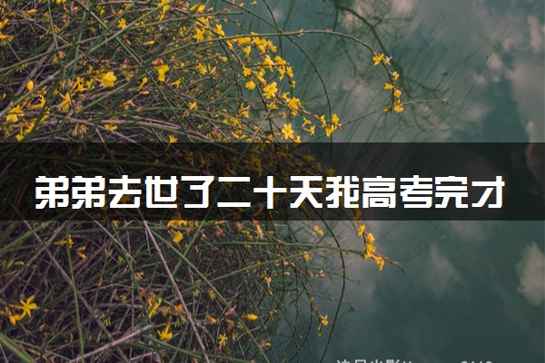 弟弟去世了二十天我高考完才知道 当事人心痛的快疯掉