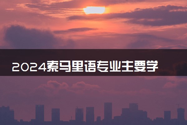 2024索马里语专业主要学什么课程 就业前景及方向有哪些
