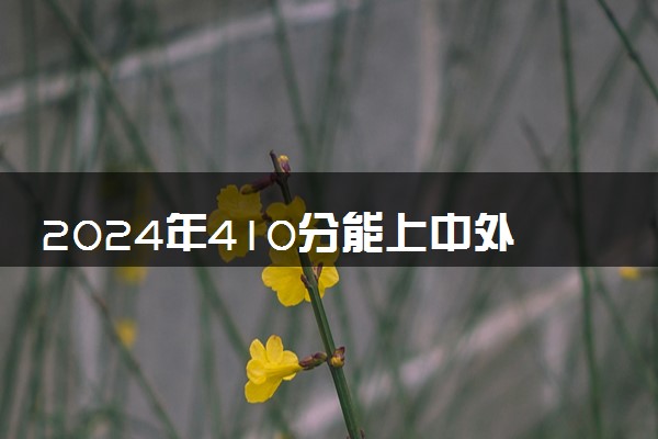 2024年410分能上中外合作办学吗 有哪些院校