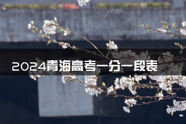 2024青海高考一分一段表 最新高考成绩排名【理工+文史】