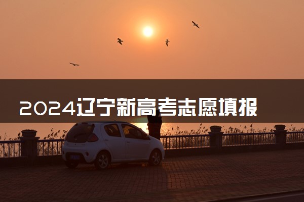2024辽宁新高考志愿填报规则 怎么填更稳妥