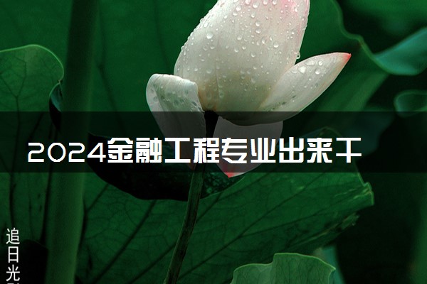 2024金融工程专业出来干什么 就业前景好不好