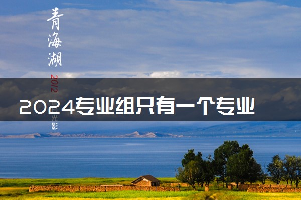 2024专业组只有一个专业怎么调剂 调剂规则是什么