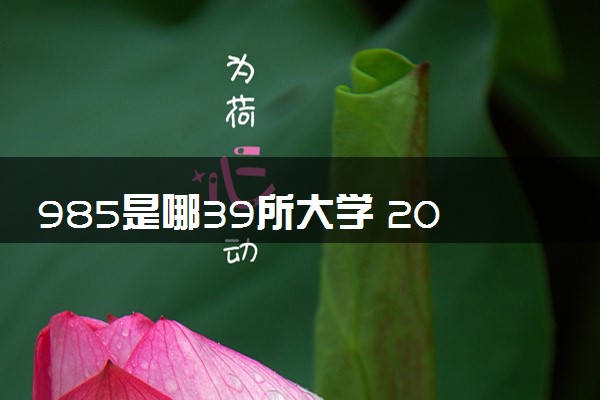 985是哪39所大学 2024好不好考