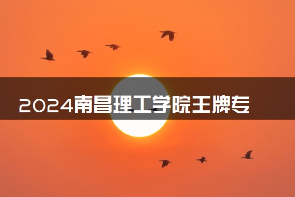 2024南昌理工学院王牌专业有哪些 最好的专业是什么