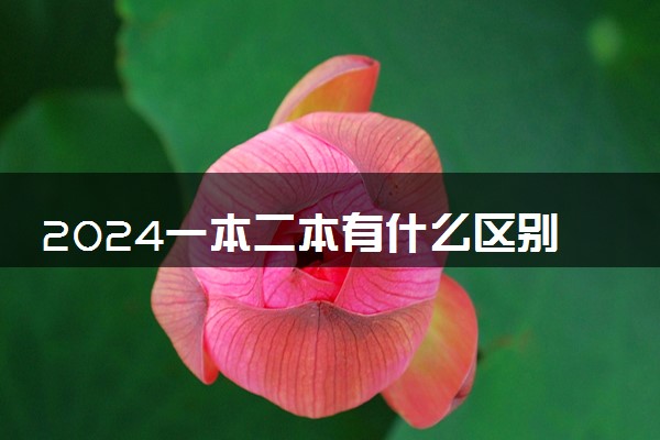 2024一本二本有什么区别 二者有何不同