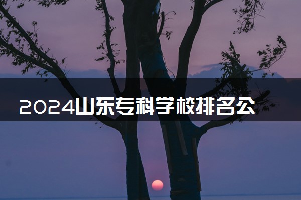 2024山东专科学校排名公办 哪些值得报考