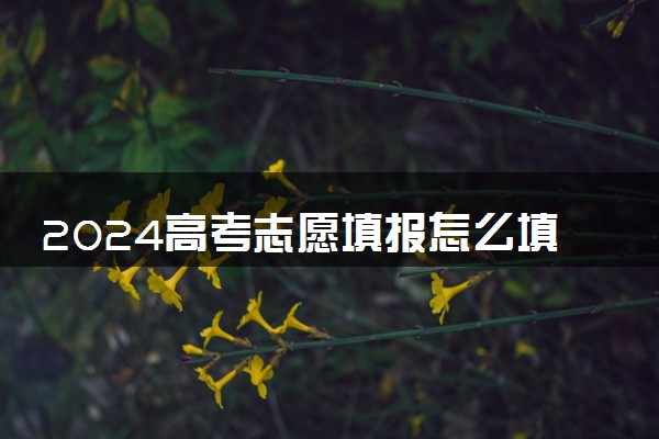 2024高考志愿填报怎么填 最全填报流程步骤详解