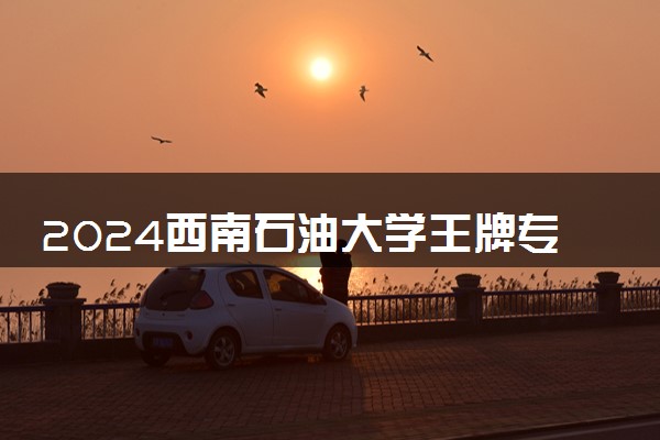 2024西南石油大学王牌专业有哪些 最好的专业是什么