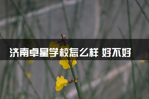 济南卓星学校怎么样 好不好