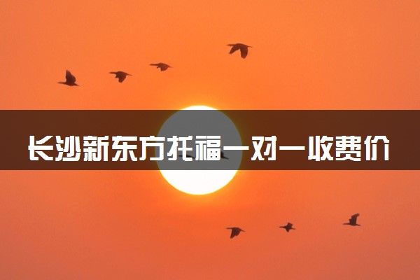 长沙新东方托福一对一收费价格表